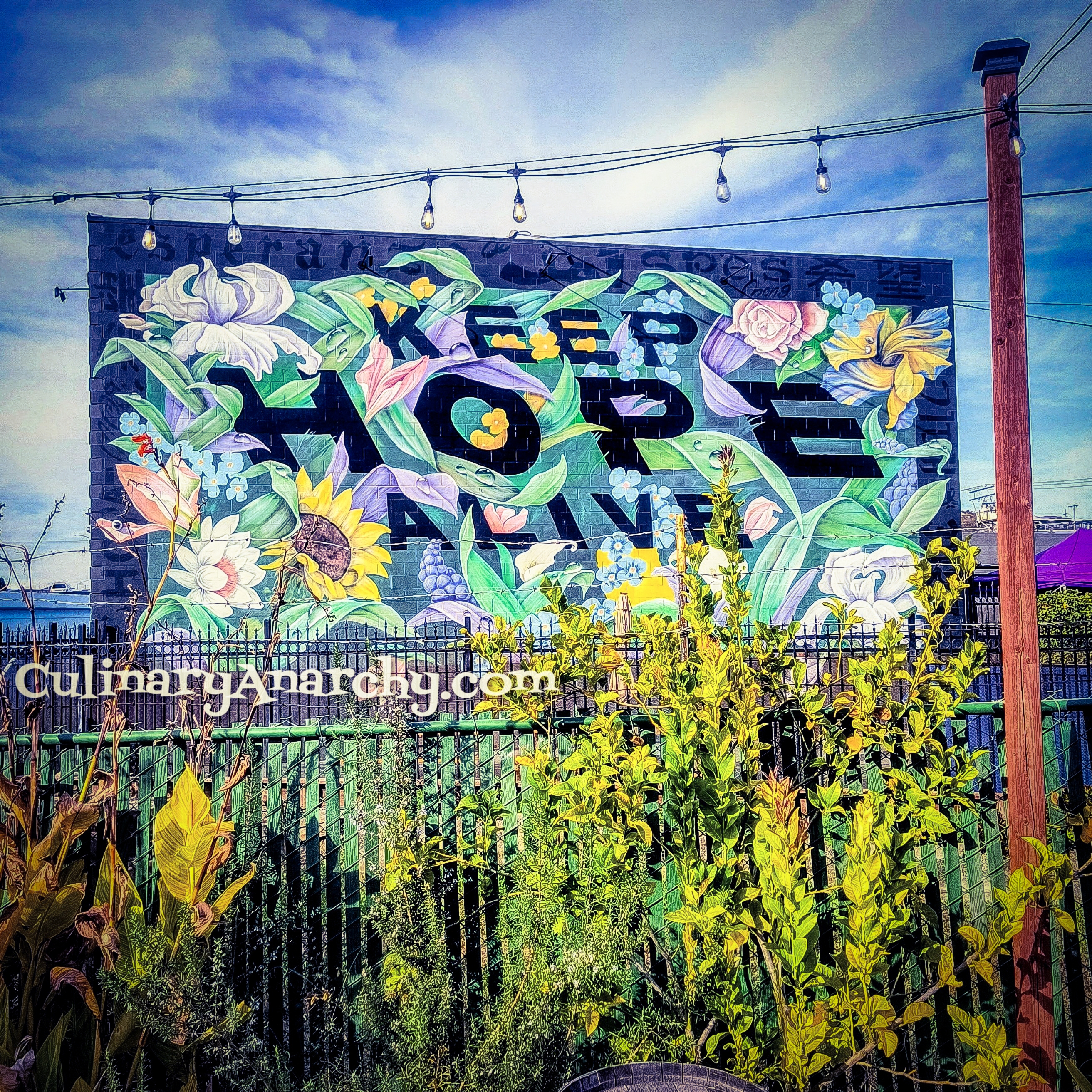 Live at Exit now (in person)